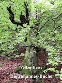 Die Johannes-Buche - Volker Hesse - ebook