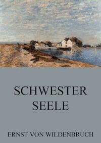 Schwesterseele - Ernst von Wildenbruch - ebook