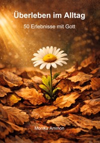 Überleben im Alltag - Monika Ammon - ebook