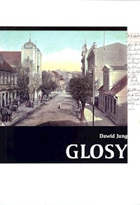 Glosy - Jung Dawid - książka