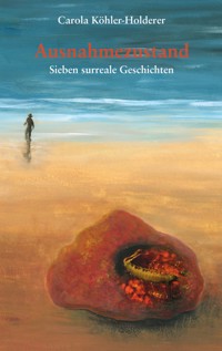 Ausnahmezustand - Carola Köhler-Holderer - ebook