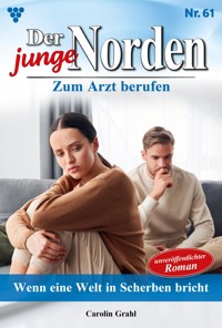Wenn eine Welt in Scherben bricht - Carolin Grahl - ebook
