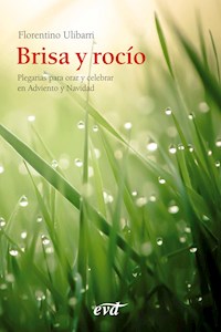 Brisa y rocío - Florentino Ulibarri Fernández - ebook