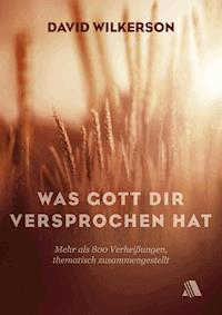 Was Gott dir versprochen hat - David Wilkerson - ebook
