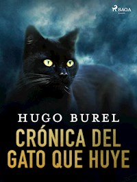 Crónica del gato que huye - Hugo Burel - ebook