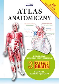 Atlas anatomiczny -  - książka
