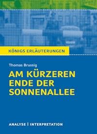 Am kürzeren Ende der Sonnenallee - Brussig Thomas - ebook