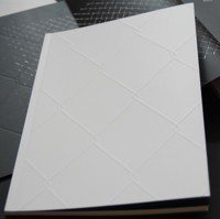 Dominik Lejman Płot - katalog do wystawy -  - książka