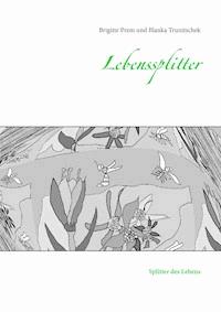 Lebenssplitter - Blanka Trunitschek - ebook
