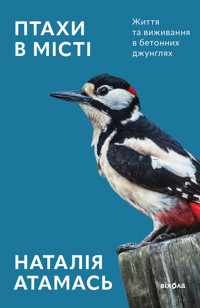 Птахи в місті. Життя та виживання в бетонних джунглях - Наталія Атамась - ebook