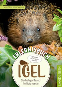 Erlebnisbuch Igel -  - ebook