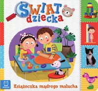 Świat dziecka Książeczka mądrego malucha - - książka