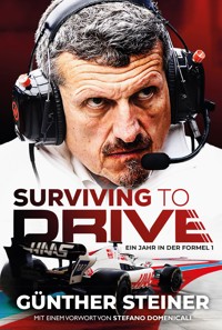 Günther Steiner - Surviving to Drive - Günther Steiner - ebook