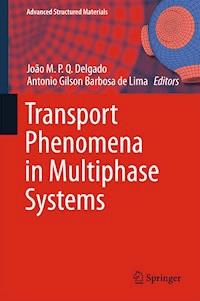 Transport Phenomena in Multiphase Systems -  - ebook