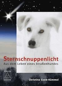 Sternschnuppenlicht - Christine Goeb-Kümmel - ebook