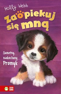 Zaopiekuj się mną. Samotny, niekochany Promyk - Holly Webb - ebook + książka