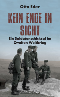 Kein Ende in Sicht - Otto Eder - ebook