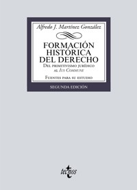 Formación histórica del Derecho - Alfredo José Martínez González - ebook