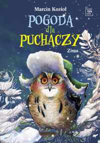 Pogoda dla puchaczy. Zima - Marcin Kozioł - książka