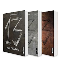Dreizehn Band 1-3: Das Tagebuch / Die Anstalt / Das Spiegelbild - Carl Wilckens - ebook