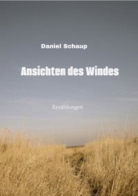 Ansichten des Windes - Daniel Schaup - ebook