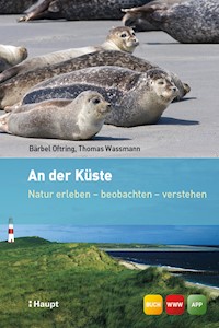 An der Küste - Bärbel Oftring - ebook