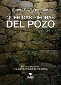 Queridas piedras del pozo - Albert Solé Queralto - ebook