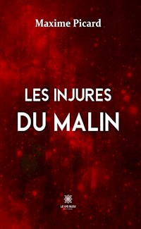 Les injures du malin - Maxime Picard - ebook