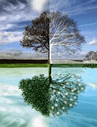 Erzählungen in aller Vielschichtigkeit - Zeljko Mance - ebook