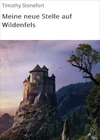 Meine neue Stelle auf Wildenfels - Timothy Stonefort - ebook