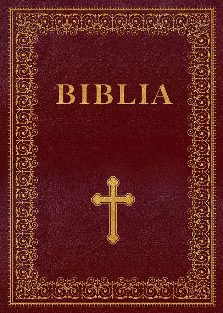 Biblia - zbiorowa praca - książka