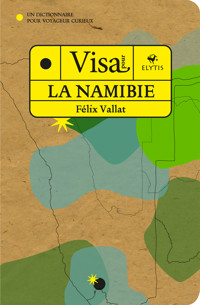 Visa pour la Namibie - Tome 6 - Félix Vallat - ebook