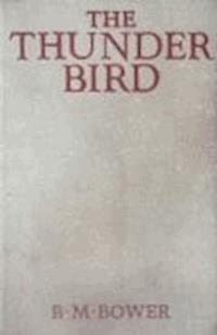 The Thunder Bird - B.M. Bower - darmowy ebook