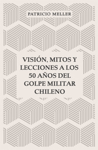 Visión, mitos y lecciones a los 50 años del Golpe Militar Chileno - Patricio Meller - ebook