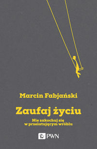Zaufaj życiu - Marcin Fabjański - ebook + książka