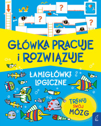 Główka pracuje i rozwiązuje. Łamigłówki logiczne - M. Victoria Williams, Mairi Mackinnon - książka