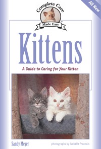 Kittens - Sandy Meyer - ebook