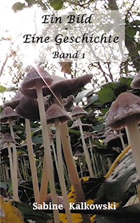 Ein Bild - Eine Geschichte - Sabine Kalkowski - ebook