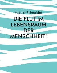 Die Flut im Lebensraum der Menschheit! - Harald Schneider - ebook