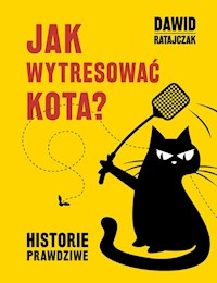 Jak wytresować kota Historie prawdziwe - Dawid Ratajczak - książka