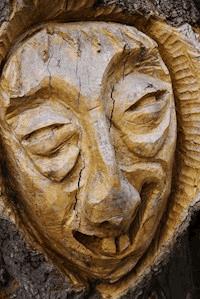 Telepathische Aphorismen - Zeljko Mance - ebook