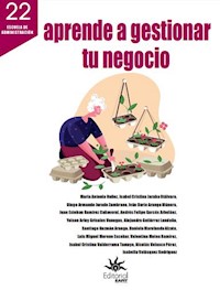 Aprende a gestionar tu negocio - Maria Antonia Nuñez - ebook
