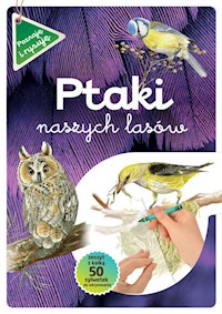 Ptaki naszych lasów Zeszyt z kalką - Kopiec-Sekieta Katarzyna - książka