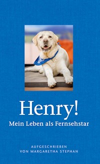 Henry! Mein Leben als Fernsehstar - Margaretha Stephan - ebook