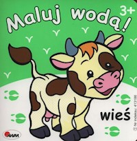 Maluj wodą wieś -  - książka
