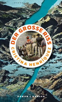 Der große Riss - Cristina Henríquez - ebook