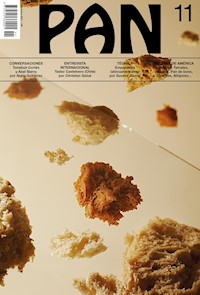 PAN 11 - VV. AA. - ebook