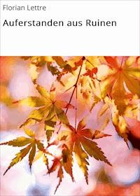 Auferstanden aus Ruinen - Florian Lettre - ebook