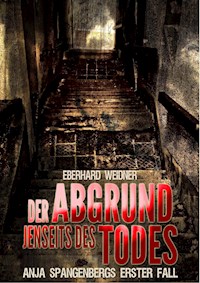 DER ABGRUND JENSEITS DES TODES - Eberhard Weidner - ebook
