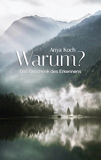 Warum? - Anya Koch - ebook
